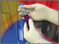 Gloves, Latex, Class 10, Powder FreeCT International